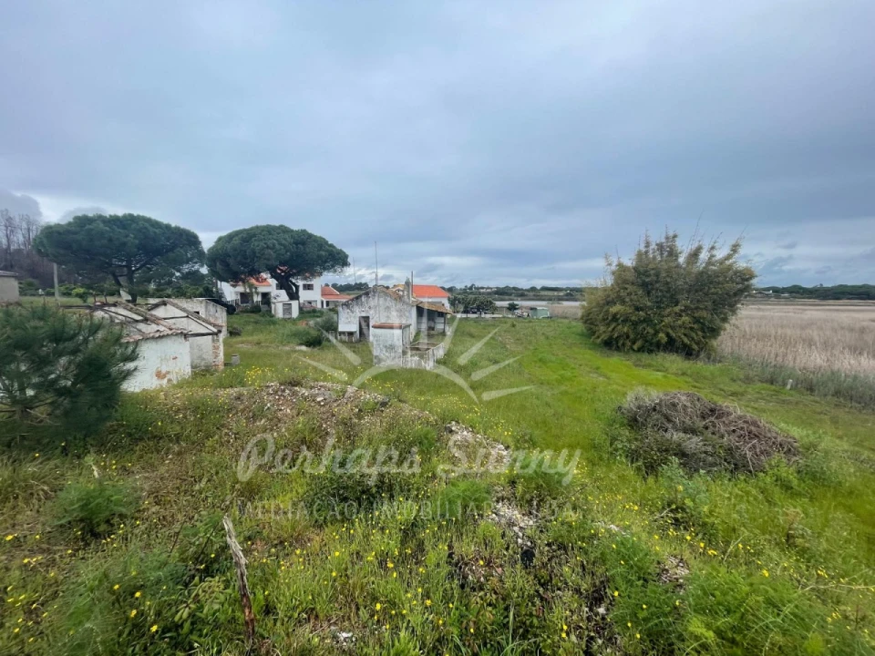 Terreno Misto para Venda em Melides Foto 19