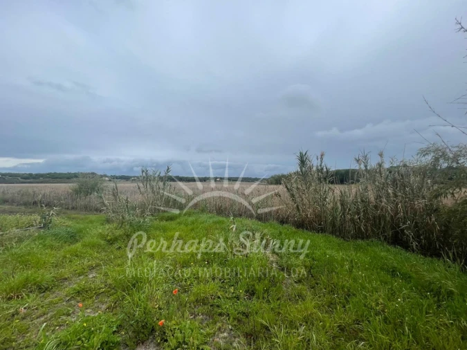 Terreno Misto para Venda em Melides Foto 11