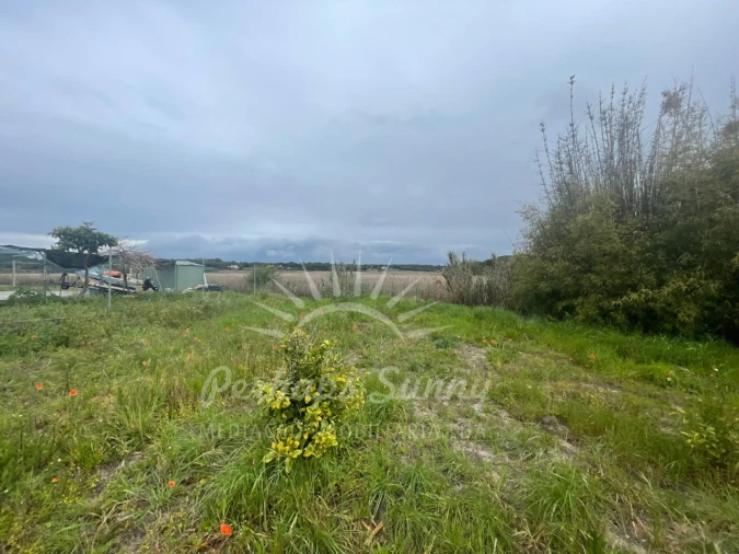 Terreno Misto para Venda em Melides Foto 14