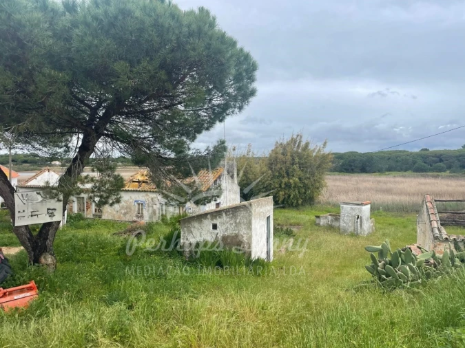 Terreno Misto para Venda em Melides Foto 7