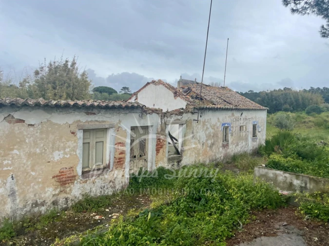 Terreno Misto para Venda em Melides Foto 10