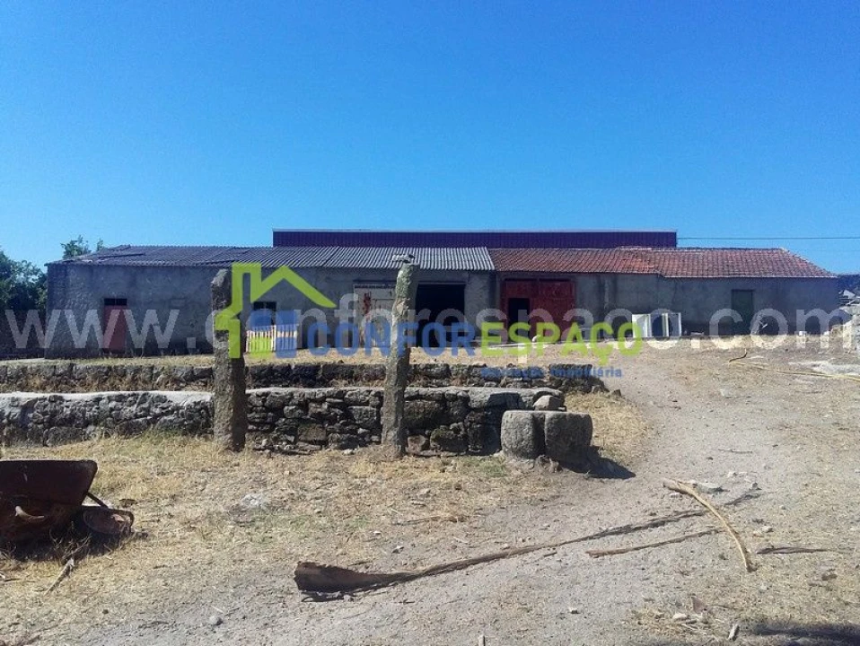Quinta T0 para Venda em Castelo Branco Foto 10