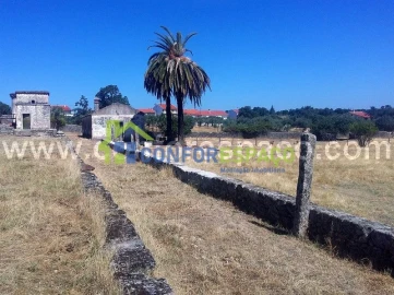 Quinta T0 para Venda em Castelo Branco
