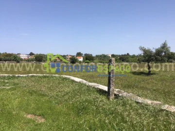 Quinta T0 para Venda em Castelo Branco