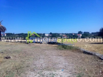 Quinta T0 para Venda em Castelo Branco