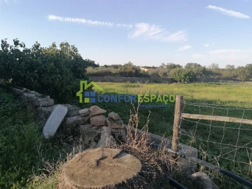 Quinta T0 para Venda em Castelo Branco