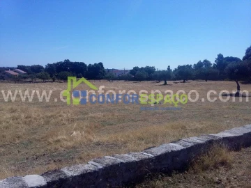 Quinta T0 para Venda em Castelo Branco