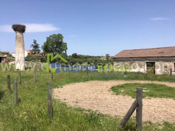 Quinta T0 para Venda em Castelo Branco