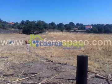 Quinta T0 para Venda em Castelo Branco