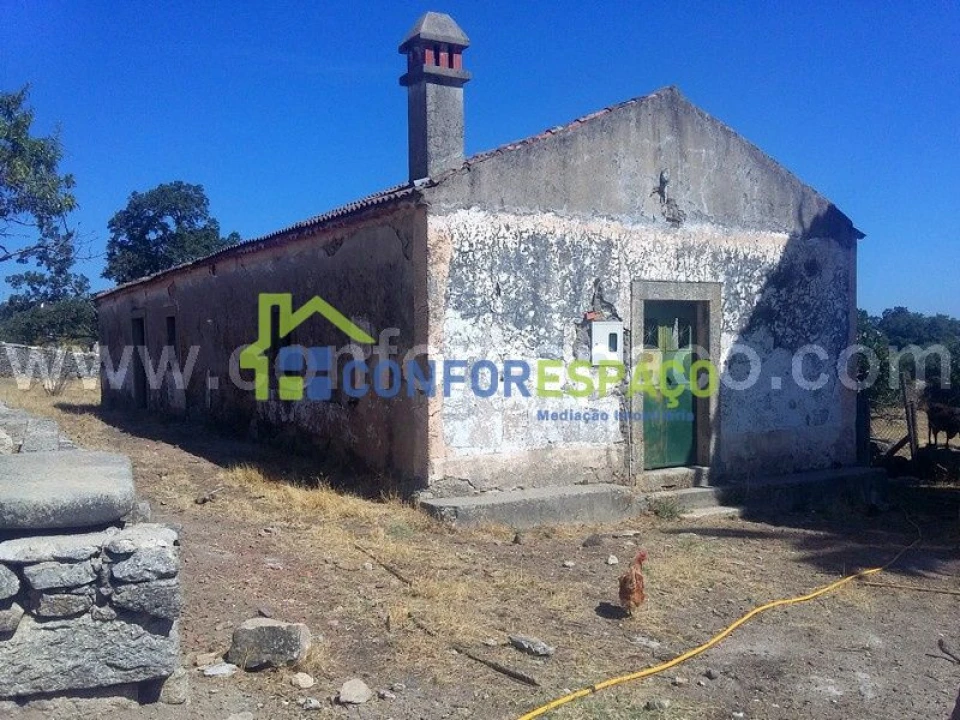 Quinta T0 para Venda em Castelo Branco Foto 3