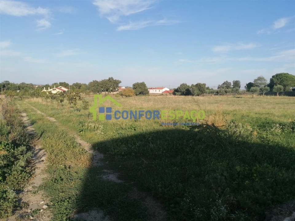 Quinta T0 para Venda em Castelo Branco Foto 41