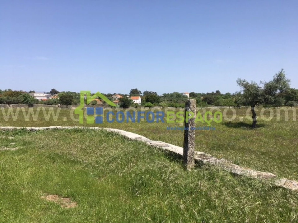 Quinta T0 para Venda em Castelo Branco Foto 17