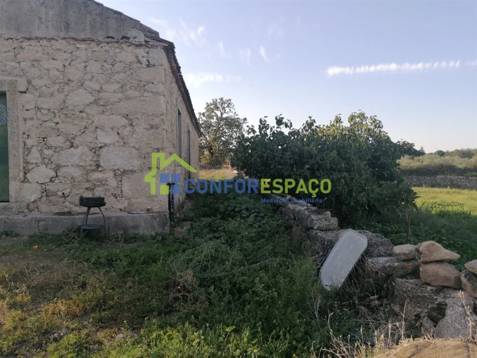 Quinta T0 para Venda em Castelo Branco Foto 38
