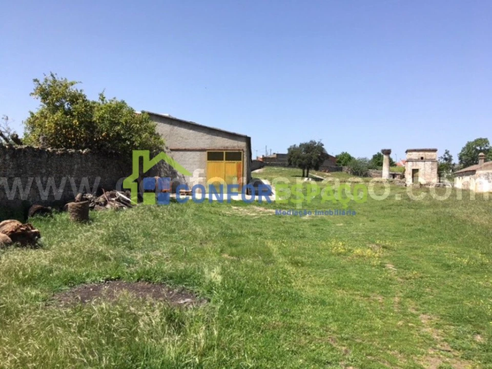 Quinta T0 para Venda em Castelo Branco Foto 19