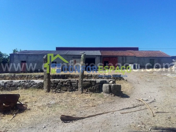 Quinta T0 para Venda em Castelo Branco Foto 10