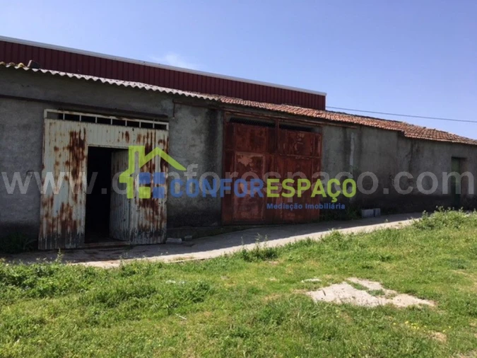 Quinta T0 para Venda em Castelo Branco Foto 21