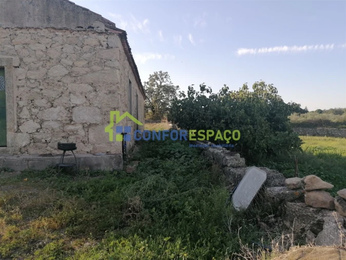 Quinta T0 para Venda em Castelo Branco Foto 38