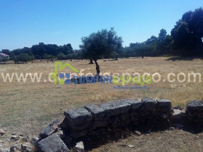Quinta T0 para Venda em Castelo Branco Foto 13