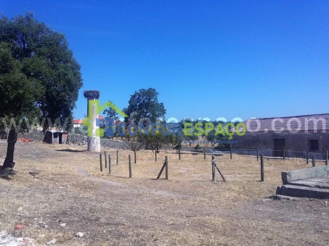 Quinta T0 para Venda em Castelo Branco Foto 4