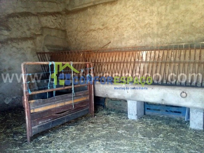 Quinta T0 para Venda em Castelo Branco Foto 11