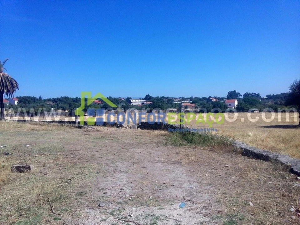 Quinta T0 para Venda em Castelo Branco Foto 8