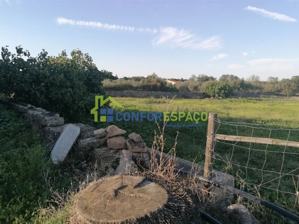 Quinta T0 para Venda em Castelo Branco Foto 39
