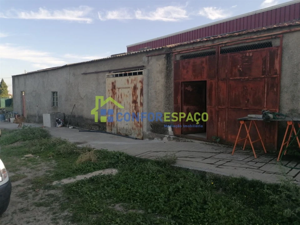 Quinta T0 para Venda em Castelo Branco Foto 32