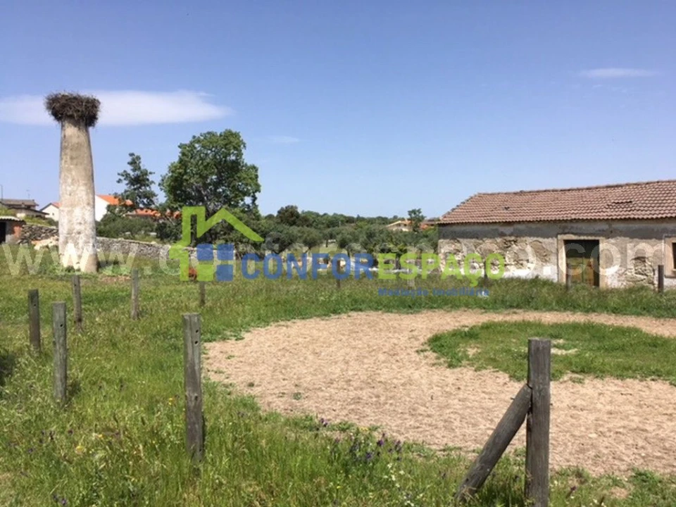 Quinta T0 para Venda em Castelo Branco Foto 26