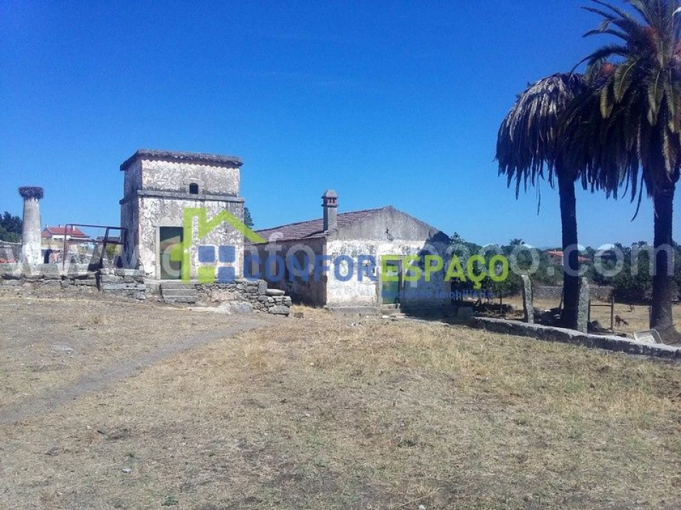 Quinta T0 para Venda em Castelo Branco Foto 1