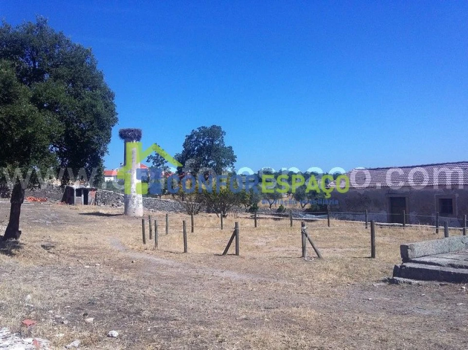Quinta T0 para Venda em Castelo Branco Foto 4