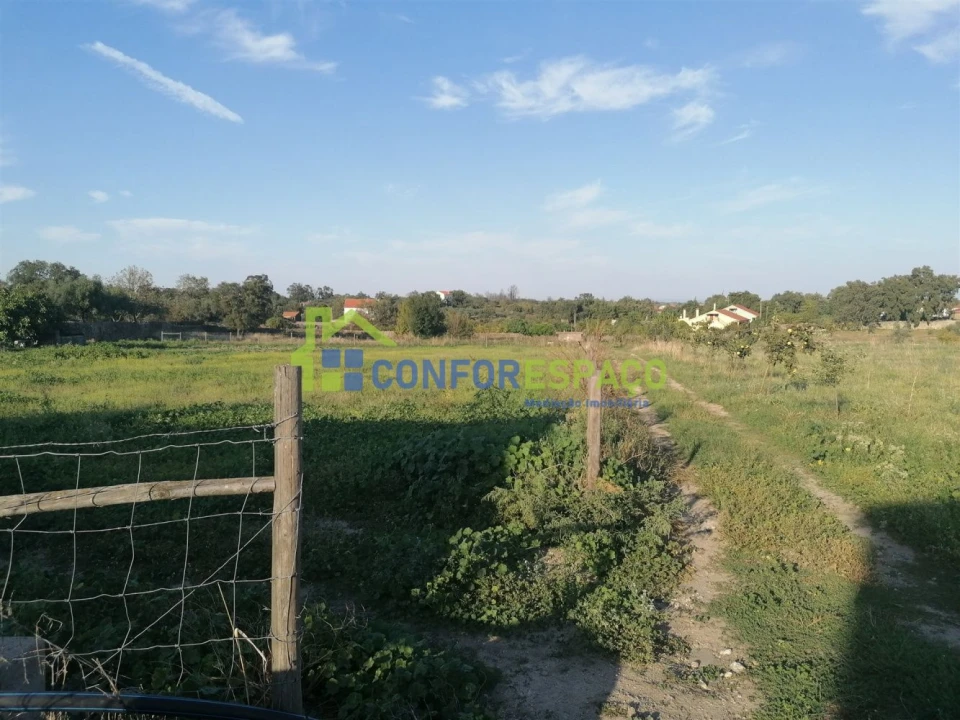 Quinta T0 para Venda em Castelo Branco Foto 40