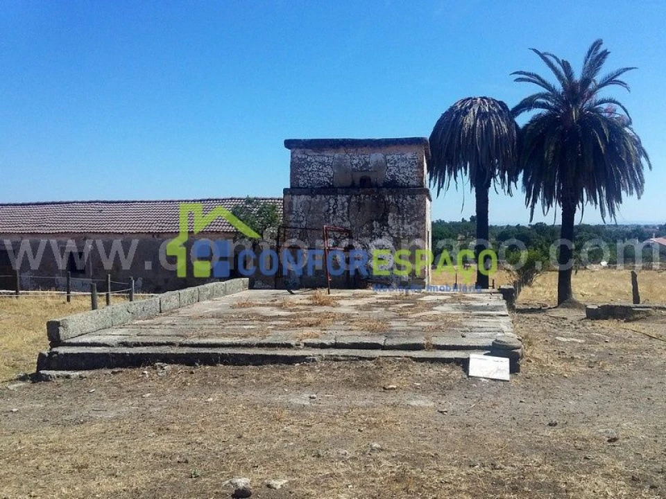 Quinta T0 para Venda em Castelo Branco Foto 5