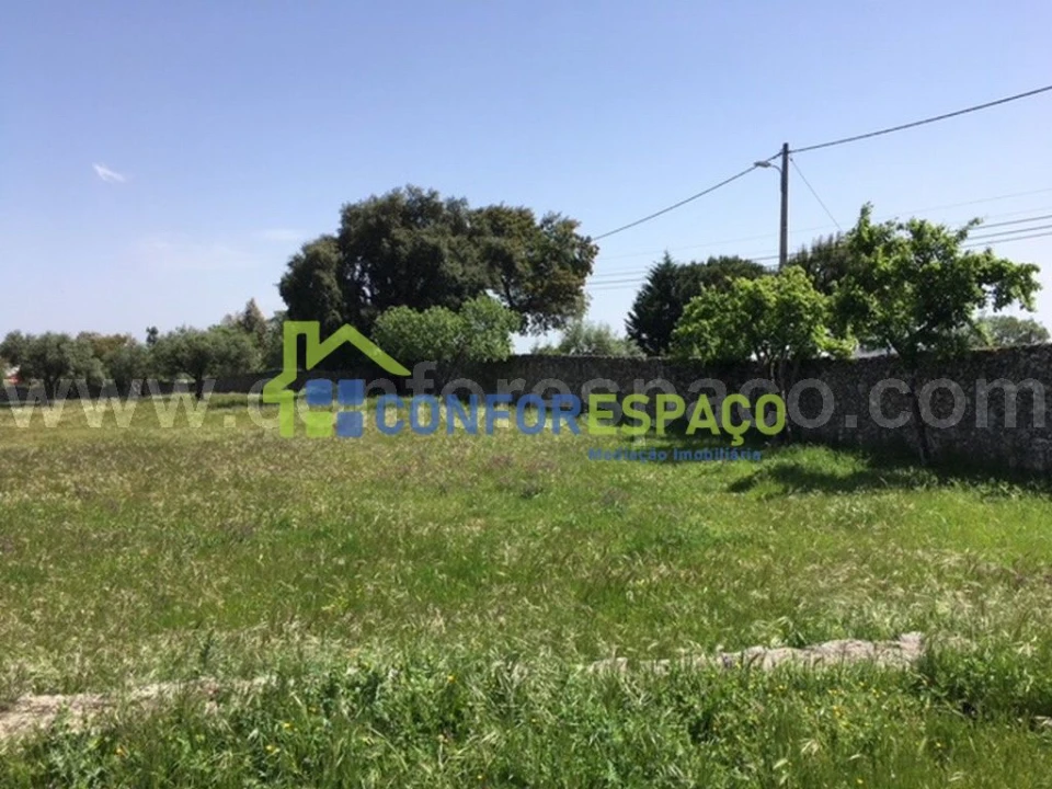 Quinta T0 para Venda em Castelo Branco Foto 16