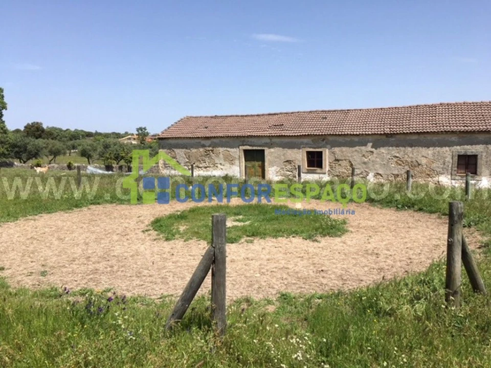 Quinta T0 para Venda em Castelo Branco Foto 27