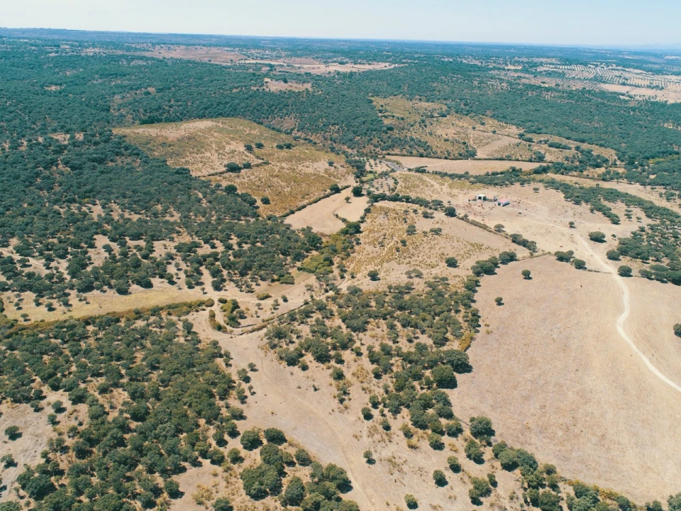 Terreno para Venda em Santa Maria da Devesa Foto 4