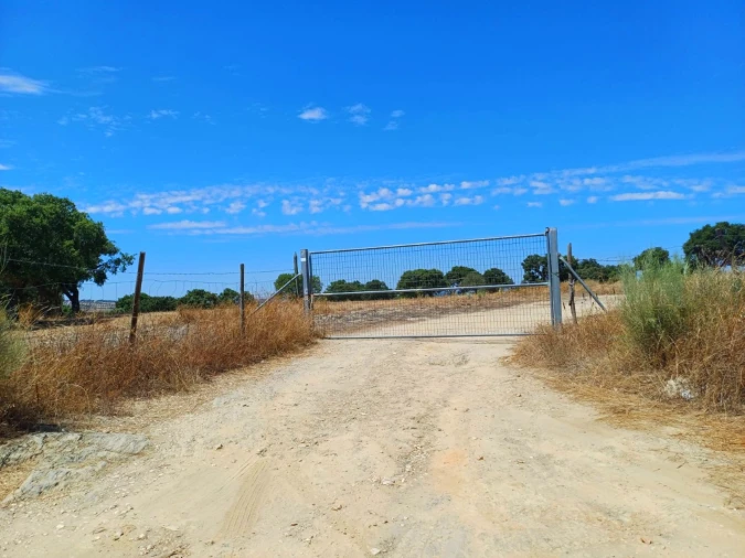 Terreno para Venda em Santa Maria da Devesa Foto 7