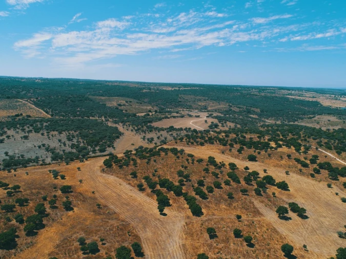 Terreno para Venda em Santa Maria da Devesa