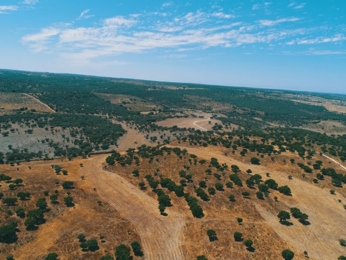 Terreno para Venda em Santa Maria da Devesa Foto 2