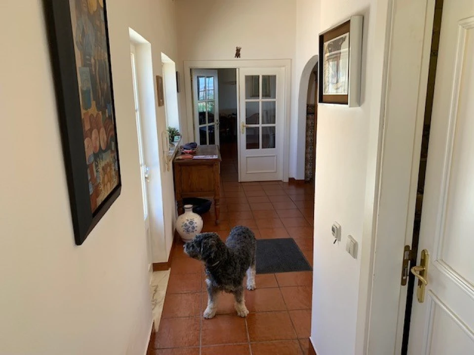 Moradia T5 para Venda em Cabeço de Vide Foto 15