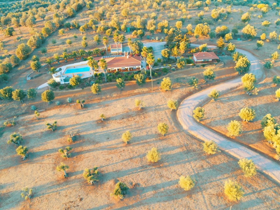 Moradia T5 para Venda em Cabeço de Vide Foto 33