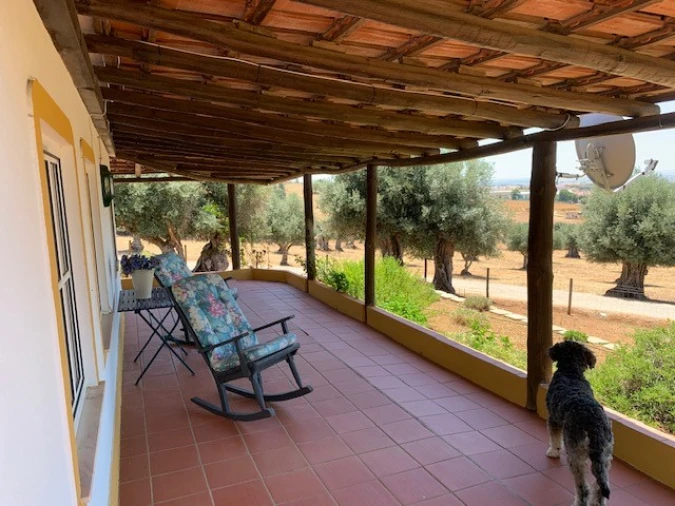 Moradia T5 para Venda em Cabeço de Vide Foto 6