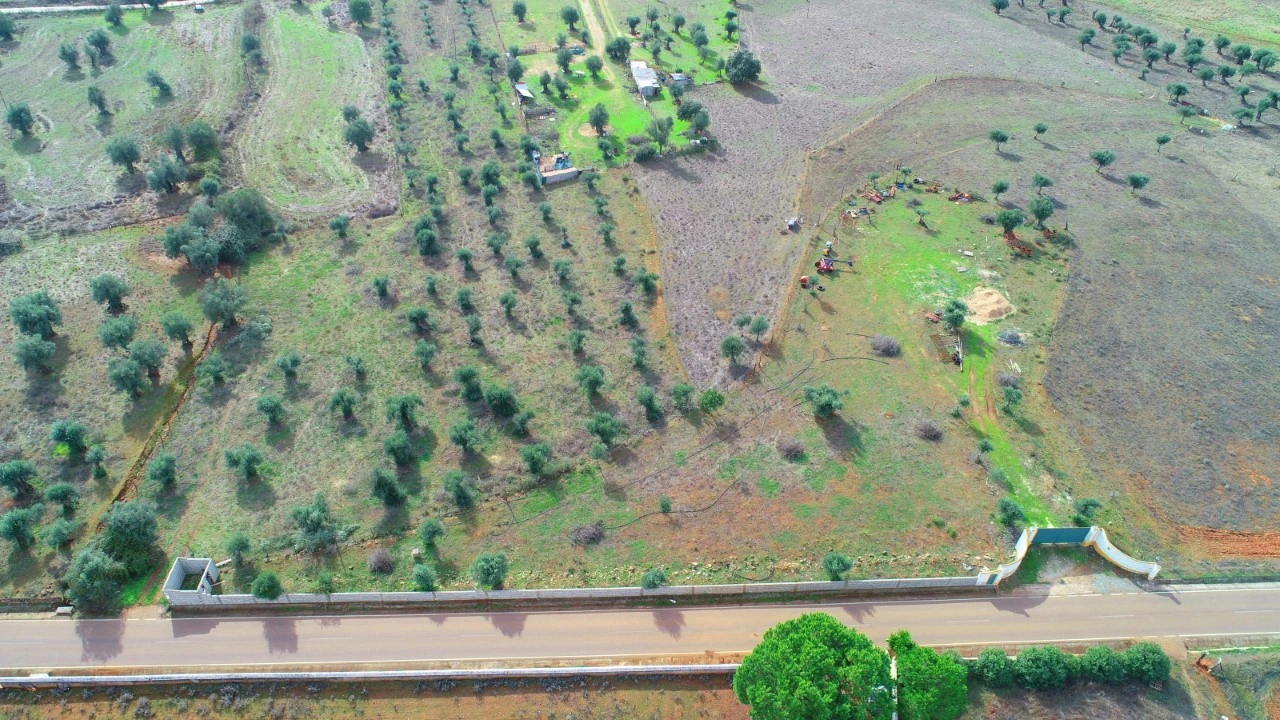 Terreno para Venda em Alter do Chão Foto 1