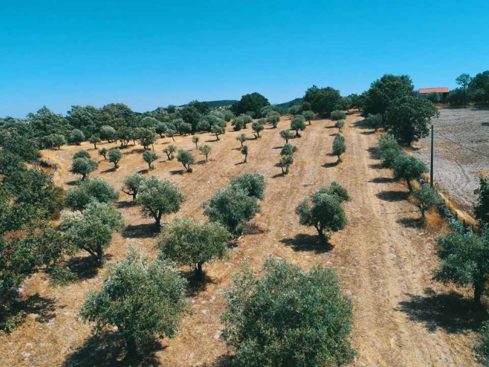 Moradia para Venda em Santa Maria da Devesa Foto 8