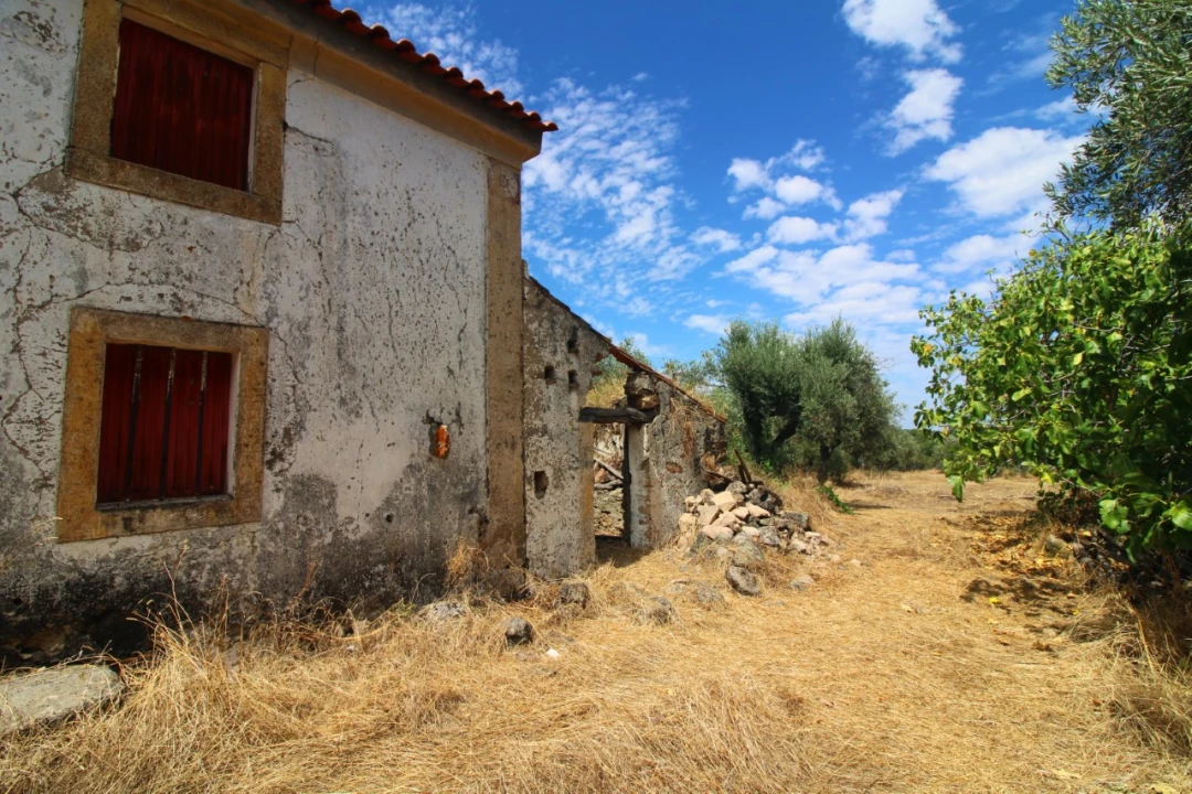 Moradia para Venda em Santa Maria da Devesa Foto 4