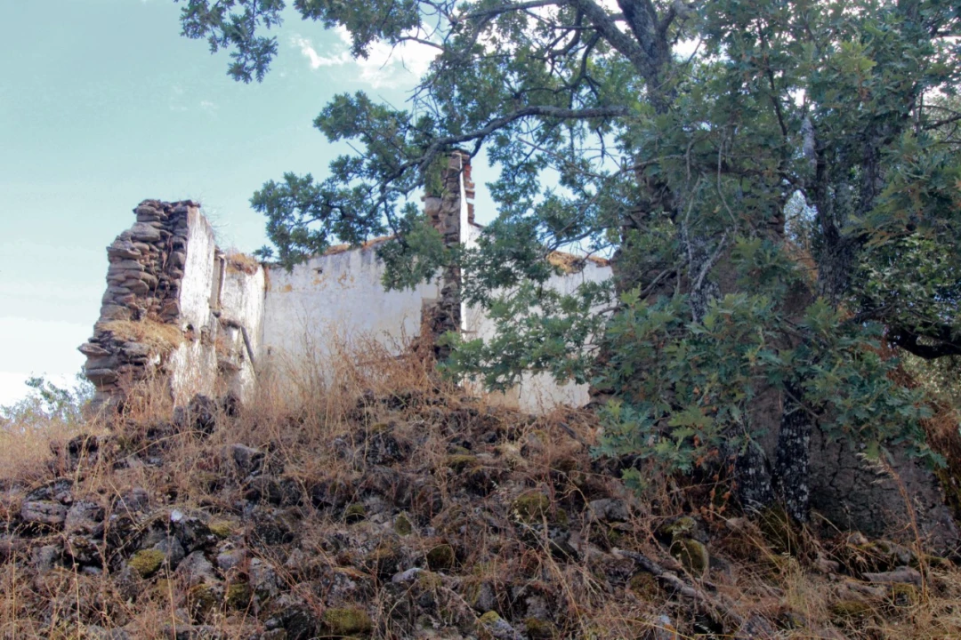Moradia para Venda em Santa Maria da Devesa Foto 9