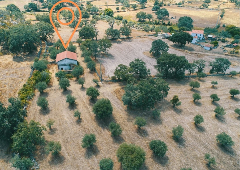 Moradia para Venda em Santa Maria da Devesa Foto 1