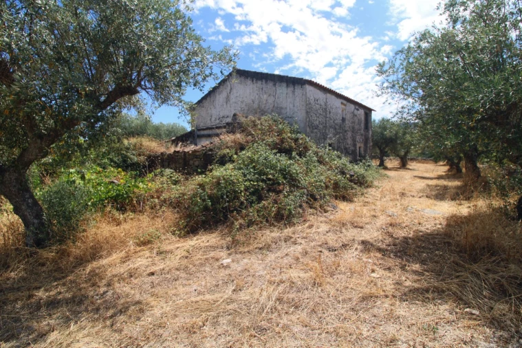 Moradia para Venda em Santa Maria da Devesa Foto 5