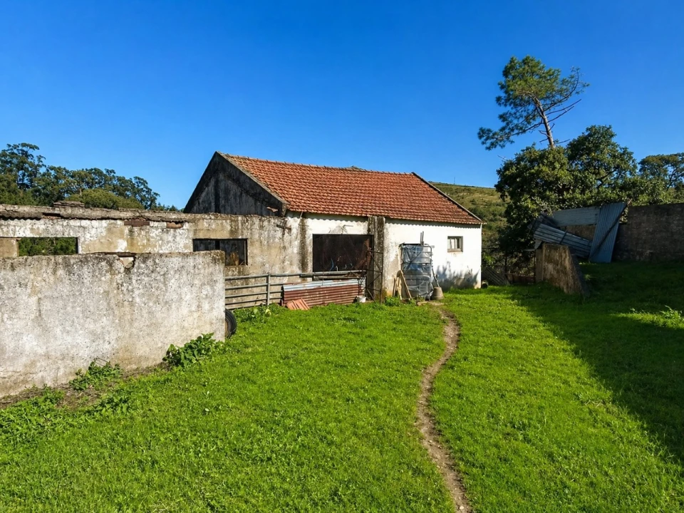 Quinta T3 para Venda em Lousa Foto 16