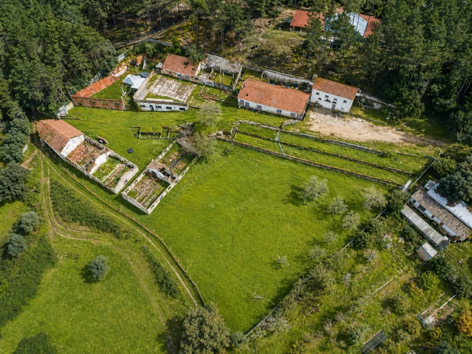 Quinta T3 para Venda em Lousa Foto 17