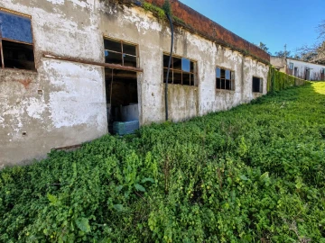 Quinta T3 para Venda em Lousa